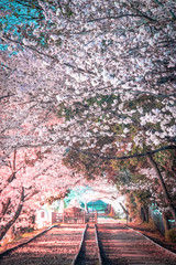 蹴上インクライン
