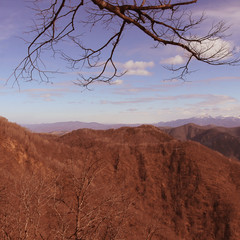 fog in the mountains in the early Sunny morning