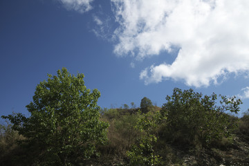 Obraz premium Trees on the Hill and Blue Sky with White Clouds in Brazil