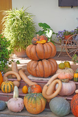   La casa delle zucche e' un luogo di interesse turistico per gli amanti della festa di Halloween