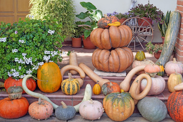   La casa delle zucche e' un luogo di interesse turistico per gli amanti della festa di Halloween