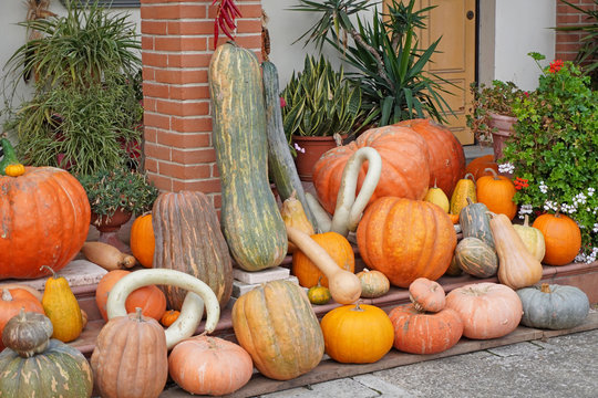   La casa delle zucche e' un luogo di interesse turistico per gli amanti della festa di Halloween