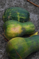 green pumpkins