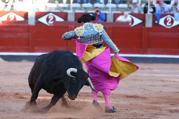 Zelfklevend Fotobehang Torero y toro en la fiesta nacional © jota69