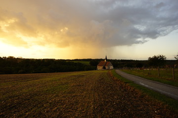 paysage Campagne 556