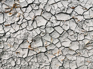 The cracks texture white and black. Cracked earth. Structure of cracking. Cracks in dry surface soil texture. shards