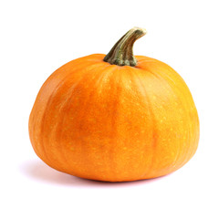 One ripe big pumpkin on the white