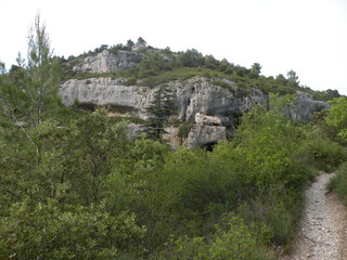 Paysage de Montagne en été 