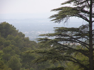 Obraz na płótnie Canvas Paysage de Montagne en été 