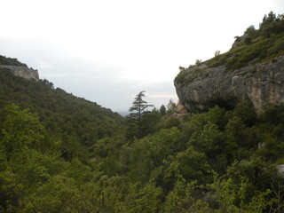 Paysage de Montagne en été 