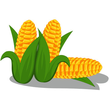 Three American Corns - Cartoon Vector Image