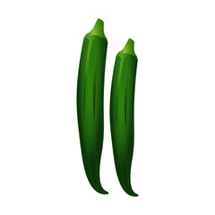 Two Green Lady's Fingers - Cartoon Vector Image