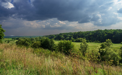 Summer, grass, trees, clouds.