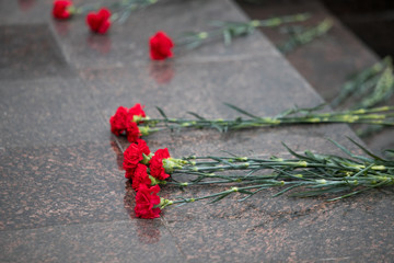 Red roses and carnation symbol of mourning - laying flowers to the monument, telephoto