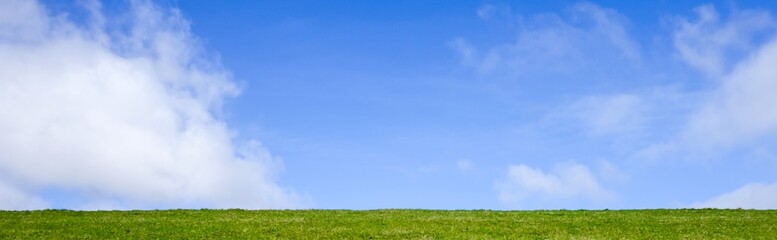 Panorama Grüne Wiese vor blauem Himmel