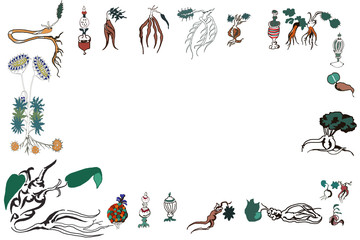 ヴォイニッチ手稿のフレーム