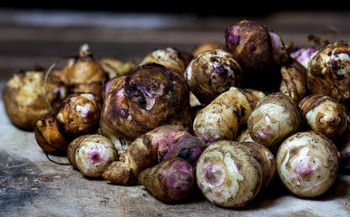 Jerusalem Artichoke 'Weisse Truffel' (Helianthus tuberosus)