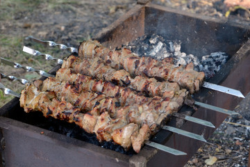 Summertime barbecue cookout outdoor. Meat cooking on charcoal in smoke.