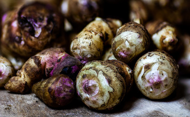 Jerusalem Artichoke 'Weisse Truffel' (Helianthus tuberosus)