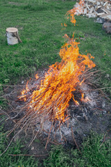 Fire of dry twigs on the green grass