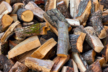 Firewood