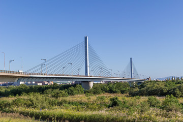淀川右岸の下流から見た菅原城北大橋(2019年10月)