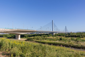 Fototapeta premium 淀川右岸の下流から見た菅原城北大橋(2019年10月)