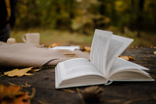 On an old wooden table in an autumn park lies an open book, a plaid, a garland with lights, a cup of yellow leaves and sos cones. Top view, in blur. Autumn warm dark mood, soft focus.