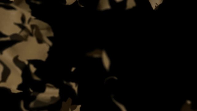 Ripping Transition v1 with Alpha Channel