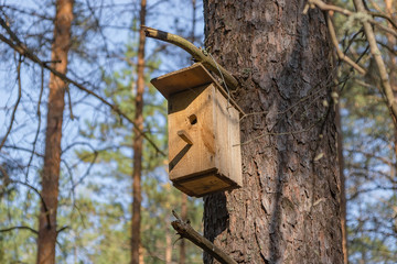 New wooden birdhouse on a tree for forest birds in the forest
