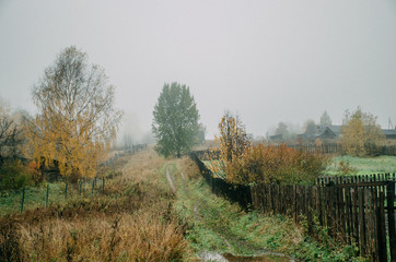 autumn fog in the countryside