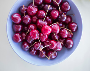 Close up view of red ripe cherries 