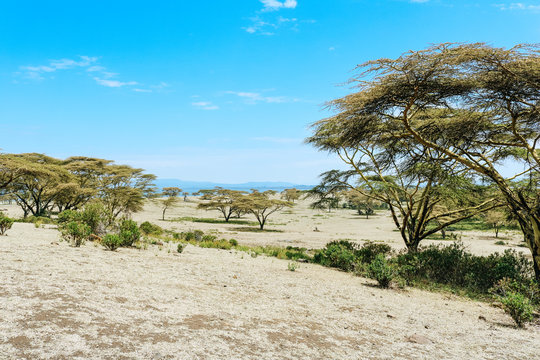 Landscape of Crescent Island Sanctuary in Kenya