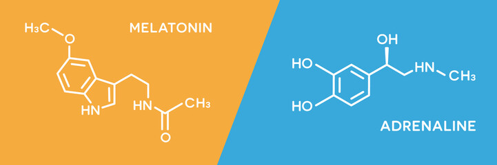 Melatonin and adrenaline hormone symbols. Human body hormones molecular chemical formula. - obrazy, fototapety, plakaty