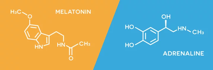 Tuinposter Melatonin and adrenaline hormone symbols. Human body hormones molecular chemical formula. © Lifeking