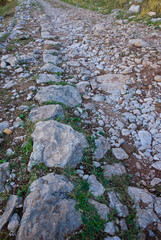Calzada romana en Benaocaz. Sierra de Cadiz. Ruta Pueblos Blancos. Provincia Cadiz. Andalucia. España