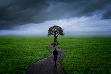 Tree at the end of the road with man addressing him