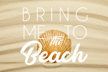 orange seashell on curve sandy beach in summertime with bring me to the beach illustration