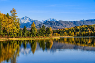 Autumn landscape in the mountains. Reflection of mountains and yellow, green trees on the surface of the lake. Altai.