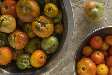 Red and brown tomatoes on a concrete gray background.  View over the head. Harvest vegetables.