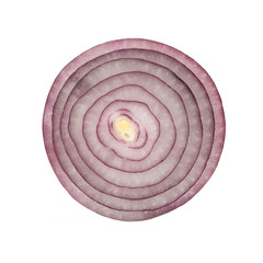 Red onion slice on a white background. isolated. macro view