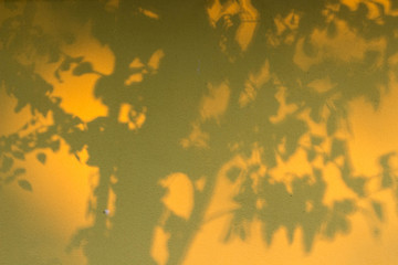 Obraz na płótnie Canvas Shadow of a huge tree on a yellow wall creative copy space
