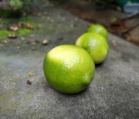 lemons and limes in garden