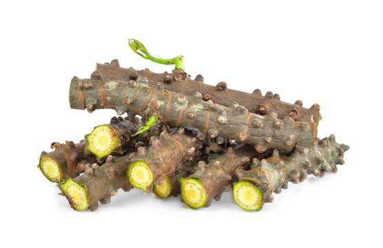 Giloe Bilder Durchsuchen 539 Archivfotos, und Videos