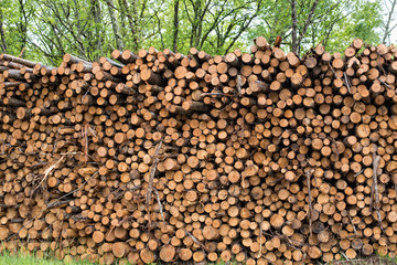 stock de bois