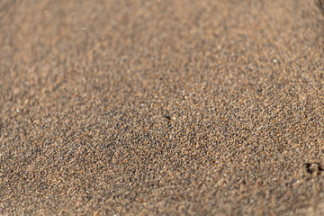 Dry earth with cracks on arid soil surface seen from above. Environmental signs of climate change and global warming