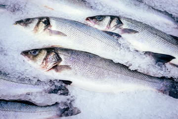 raw fish seabass ice cubes, fresh fish at the market. Sale of sea fish.