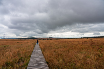 Strollers in nature reserve High Fens, Belgium.