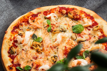 Seafood Italian pizza with shrimp,squid, mussels, fresh herbs and mozzarella on a crusty base viewed from above on Gray background. Horizontal photo.