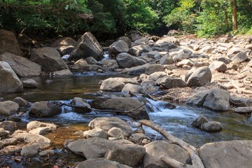 stream in forest 2